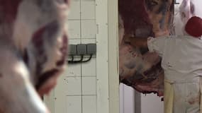 Image d'illustration.