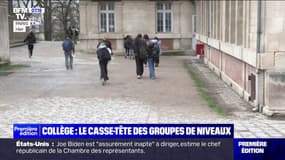 Collège: comment vont s'organiser les groupes de niveaux souhaités par le gouvernement? 