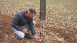 Nicolas Bousselaire constate les dégâts sur son exploitation d'oliviers, après que 700 pieds ont été vandalisés, à Saint-André-de-l'Eure, en Normandie, en août 2025