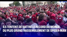 Ils tentent de battre le record du monde du plus grand rassemblement de Spider-Man 