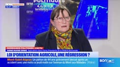 Normandie: la présidente de la FRSEA s'exprime sur la loi d'orientation agricole