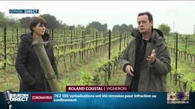 La viticulture: pas de ressource en ce moment mais les dépenses continuent