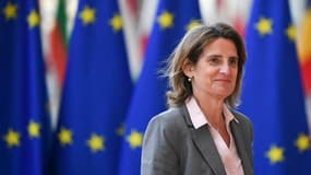 Teresa Ribera, ministre espagnole de la Transition écologique
