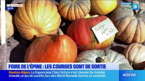 Hautes-Alpes: un nouveau succès pour la traditionnelle fête de la courge de L'Épine