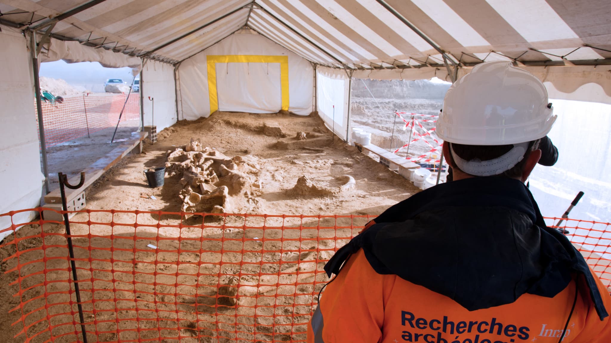 SEINE-ET-MARNE: UNE ANCIENNE CARRIÈRE OÙ ONT ÉTÉ DÉCOUVERTS DES SQUELETTES DE MAMMOUTHS DEVIENT UN ESPACE PROTÉGÉ