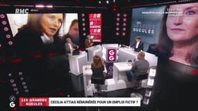 Le monde de Macron : Cecilia Attias rémunérée pour un emploi fictif ? – 13/01