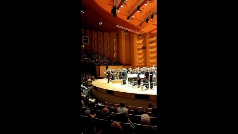 Lyon: un musicien hué par une partie du public lors d'un discours contre la réforme des retraites