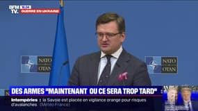 Le ministre ukrainien des Affaires étrangères demande à l'Otan des armes "maintenant ou ce sera trop tard"