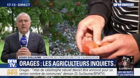Orages: Didier Guillaume demande la mise en place d'une "assurance qui soit généralisée" pour les agriculteurs