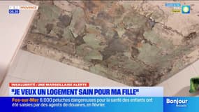 Insalubrité : une marseillaise alerte