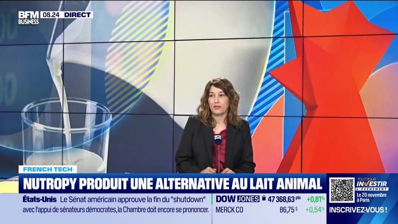 French Tech : Nutropy produit une alternative au lait animal - 11/11