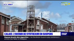 Synthexim à Calais: l'avenir de l'usine se joue ce mercredi