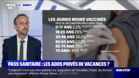 Le pass sanitaire, exigé dans des lieux que fréquentent les jeunes, peut entrainer des conséquences économiques 