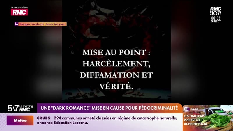 Une "dark romance" mise en cause pour pédocriminalité
