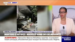 "C'est impressionnant un tir de mortier quand ça vient vers vous": Kristell Niasme (Les Républicains) raconte son agression 