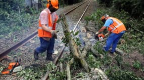 La SNCF a dénombré plusieurs dizaines d'incidents provoqués par la tempête Ciaran, essentiellement liés à des chutes d'arbres et de branches