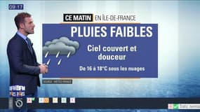 Météo Paris Île-de-France du 12 juillet: Ciel couvert et faibles pluies pour cette matinée