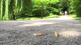 Strasbourg: la cigarette bientôt interdite dans les parcs?