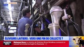 Éleveurs laitiers: vers une fin de collecte ? 