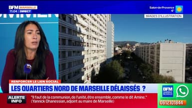 Narcotrafic: "Ça fait des années qu'on alerte dessus (...) On a l'impression d'être face à des murs", confie Hayat Atia, conseillère municipale des 13e et 14e arrondissements de Marseille