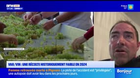 Les viticulteurs varois sont en colère. Pour quelles raisons ? La réponse avec notre invité.