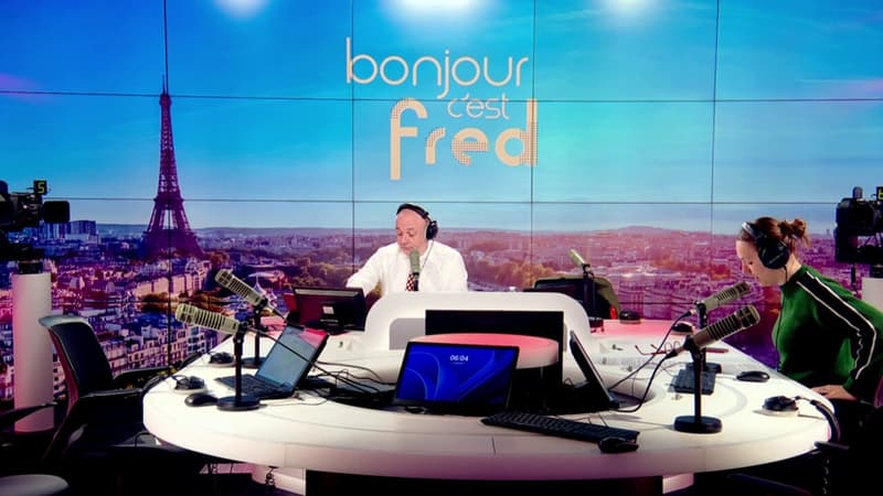 "Il n’y a pas de financement": un plan pour lutter contre la prolifération des frelons asiatiques