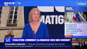 Coalition: comment ça marche chez nos voisins européens? BFMTV répond à vos questions