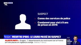 Meurtre d'Iris: quel est le profil du suspect, placé en détention provisoire? 