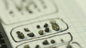 Fragments de la météorite tombés sur la Russie.