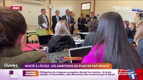 Mixité à l'école : les ambitions du plan de Pap Ndiaye 