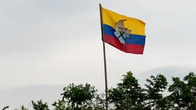 Seize guérilleros des Farc ont été libérés pour la première fois dans le cadre du processus de paix négocié avec le gouvernement colombien - Jeudi 21 janvier 2016