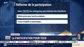 L’idée se précise : associer TOUS les salariés aux bénéfices des entreprises…Pour l’heure…la participation…une redistribution d’une partie des profits aux salariés…n’est obligatoire que dans les entreprises de plus de 50 salariés…Le projet de loi propose 