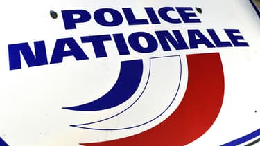 Le jeune pyromane a été interpellé par des policiers alors qu'il s'apprêtait à mettre le feu à un véhicule.