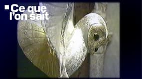 Le trésor de la Chouette d'or, le lot du premier jeu lancé en 1993 par Max Valentin