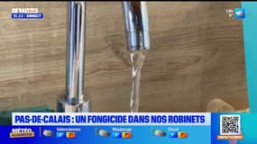 Un fongicide détecté dans une vingtaine de communes du Pas-de-Calais