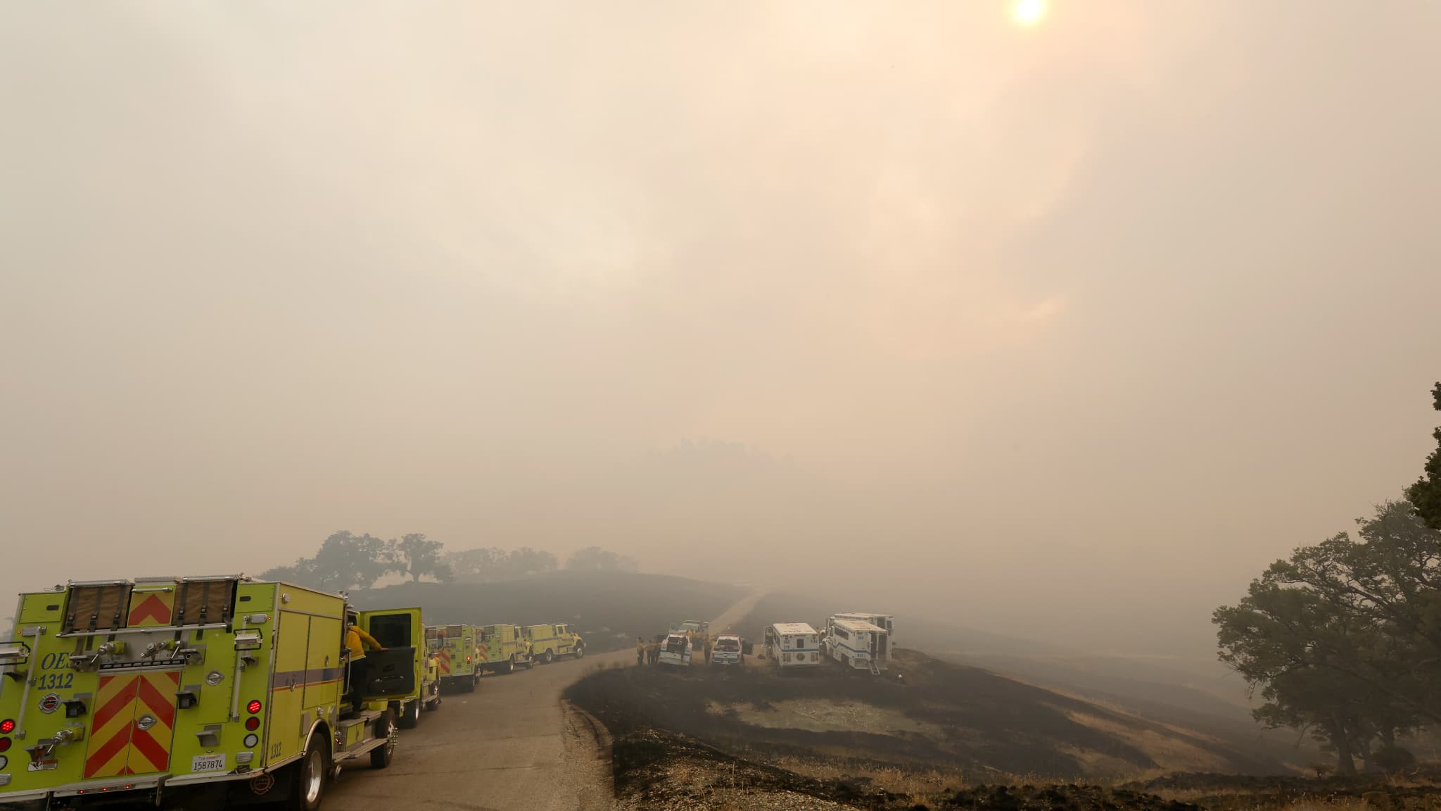Des pompiers luttent contre l'incendie Lake Fire, dans le comté de Santa Barbara, en Californie, le 7 juillet 2024.