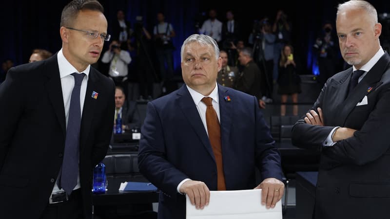 La Hongrie veut acheter 700 millions de mètres cubes de gaz supplémentaires à la Russie