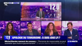 Apologie du terrorisme : à quoi joue LFI ? - 24/11