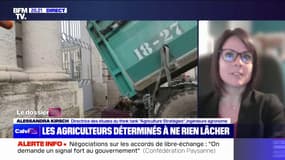 Mobilisation des agriculteurs: "C'est un problème de fond qui s'exprime, qui ne va pas être résolu par des mesures de court terme", estime Alessandra Kirsch (Agriculture Stratégies)