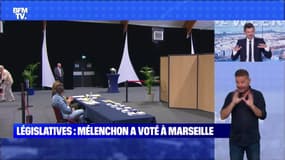 Législatives : les Français se rendent aux urnes - 12/06