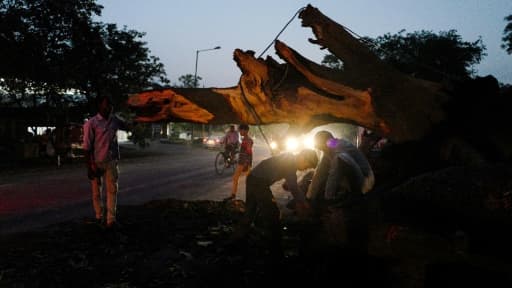 Des Indiens tronçonnent un arbre tombé en travers d'une route lors d'une tempête, le 3 mai 2018 à Agra