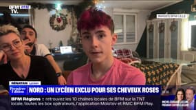 Nord: un lycéen exclu pour ses cheveux roses