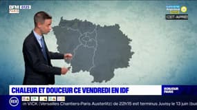 Météo Paris-Ile de France du 11 juin: Des conditions estivales