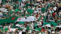 Supporters - Algérie