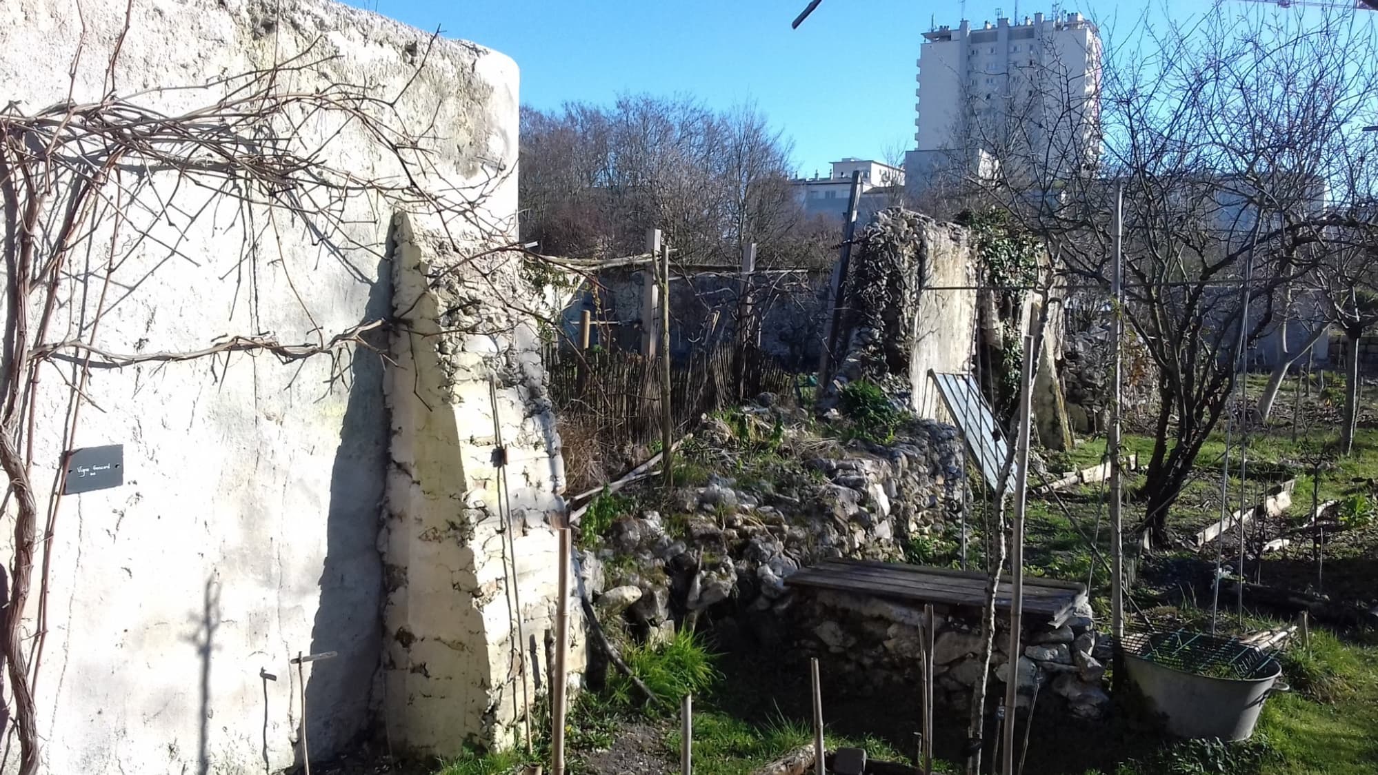 Le site des Murs à pêches à Montreuil.