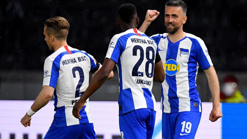 Vedad Ibisevic