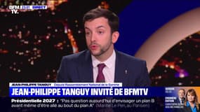 Exécution provisoire: "La loi est mauvaise, elle laisse une liberté d'interprétation qui provoque un émoi", estime Jean-Philippe Tanguy (RN)