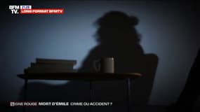 LIGNE ROUGE - Le témoignage de la promeneuse qui a découvert des ossements du petit Emile