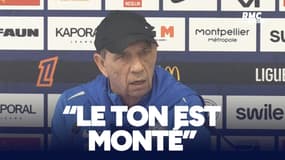 Montpellier : "Le ton est monté pour mon grand plaisir", Gasset part en mission pour le maintien