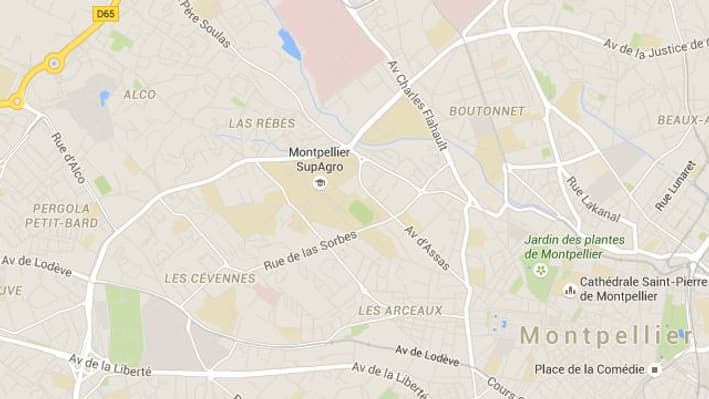 carte carte